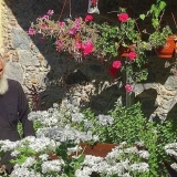 ekkl_arhaggelou_mihail_6