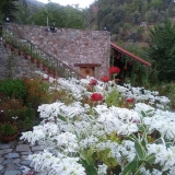 ekkl_arhaggelou_mihail_9