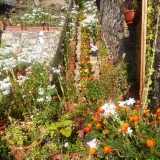 ekkl_arhaggelou_mihail_7